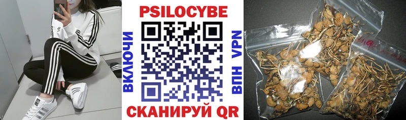 Галлюциногенные грибы ЛСД  купить   omg   Родники 